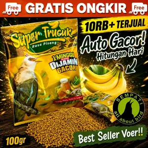 SEMPATI Pakan Voer Pur Super Trucuk Voer Crucuk Terucukan Sempati Makanan Harian Ciamix Pellet Rasa Pisang Untuk Burung Pemakan Buah Auto Lahap Rajin Bunyi