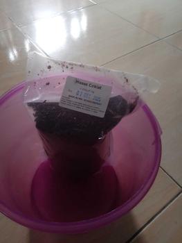 Product Review of Meses Coklat 1kg - Meses Enak Cokelat untuk topping from S**r 2** 1