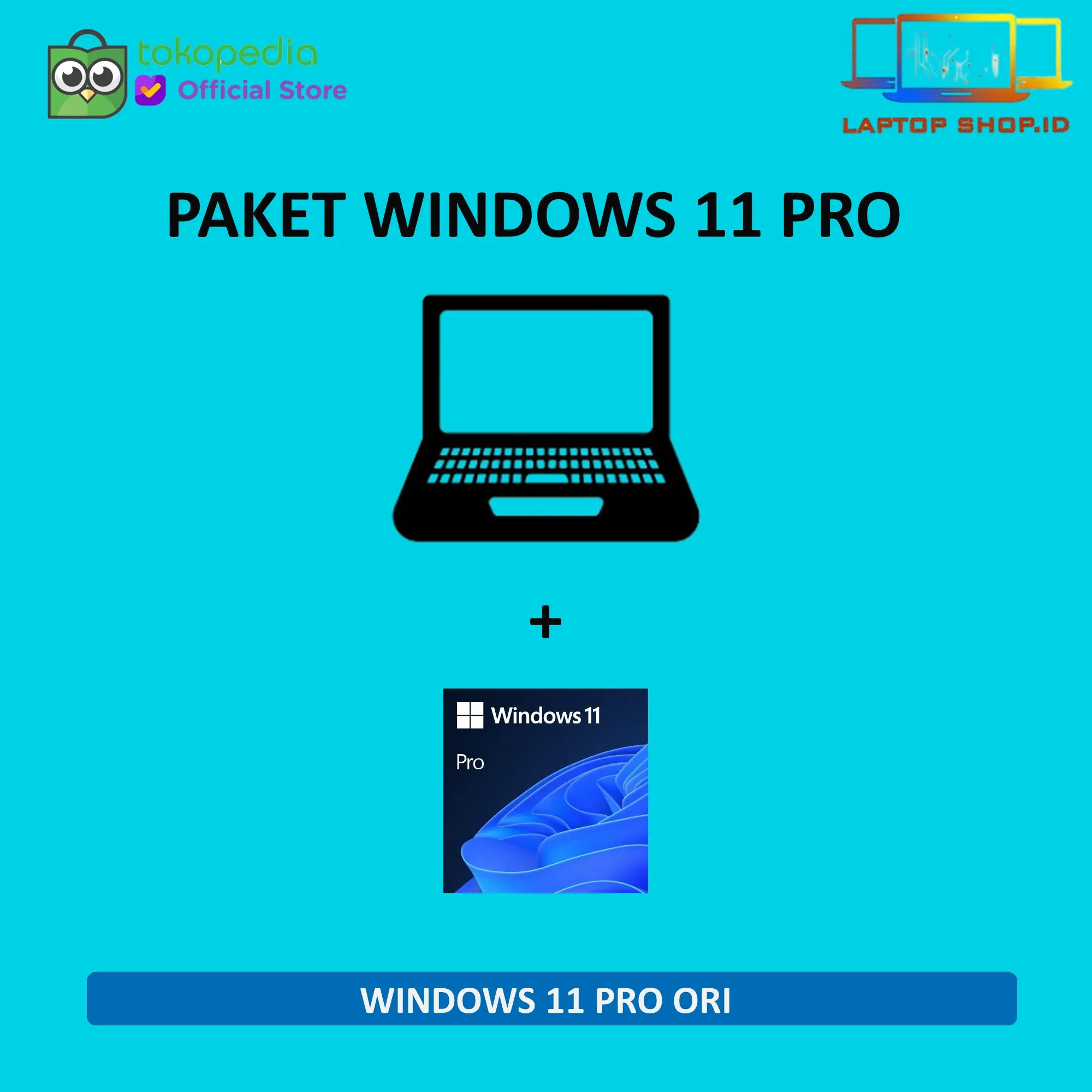 + Windows 11 Pro