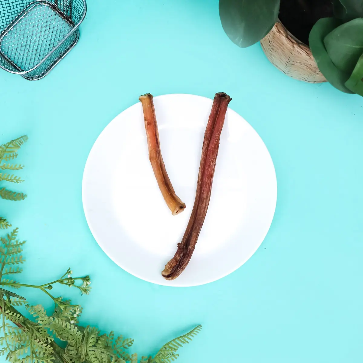 Woofholics Bully Stick / Dog Chew / Dog Snack / Gigitan Cemilan Anjing