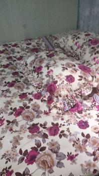 Product Review of JUAL SARUNG BANTAL CINTA RUMBAI, UKURAN 100 X 50 CM, KAIN KATUN POLYMICRO, PAKAI RESLETING, ANTI LUNTUR, BISA DICUCI, BERAT 150 GRAM from e**r 0