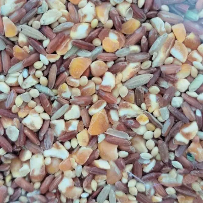 Makanan campur untuk Merpati Deruk dan puter 1Kg