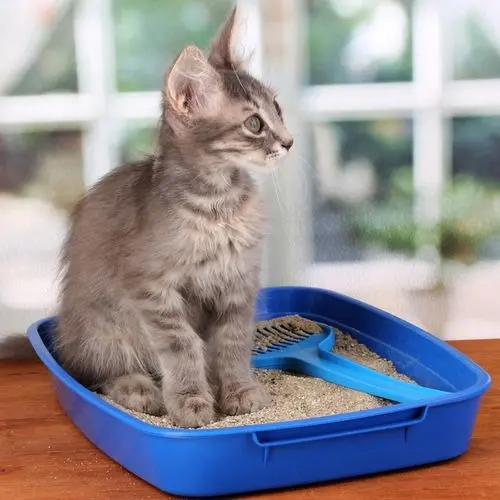 PASIR KUCING GUMPAL WANGI VIVA 12 LITER PREMIUM pasir gumpal 1
