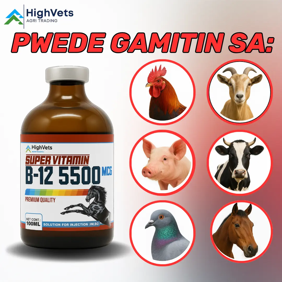 how to give myself a vitamin b12 injection VITAMIN B12 INJECTION main image 0