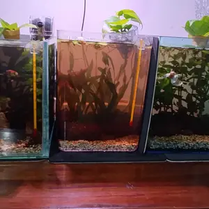 LEPET Thermometer Aqurium / Aquascape / Pengatur Suhu Air