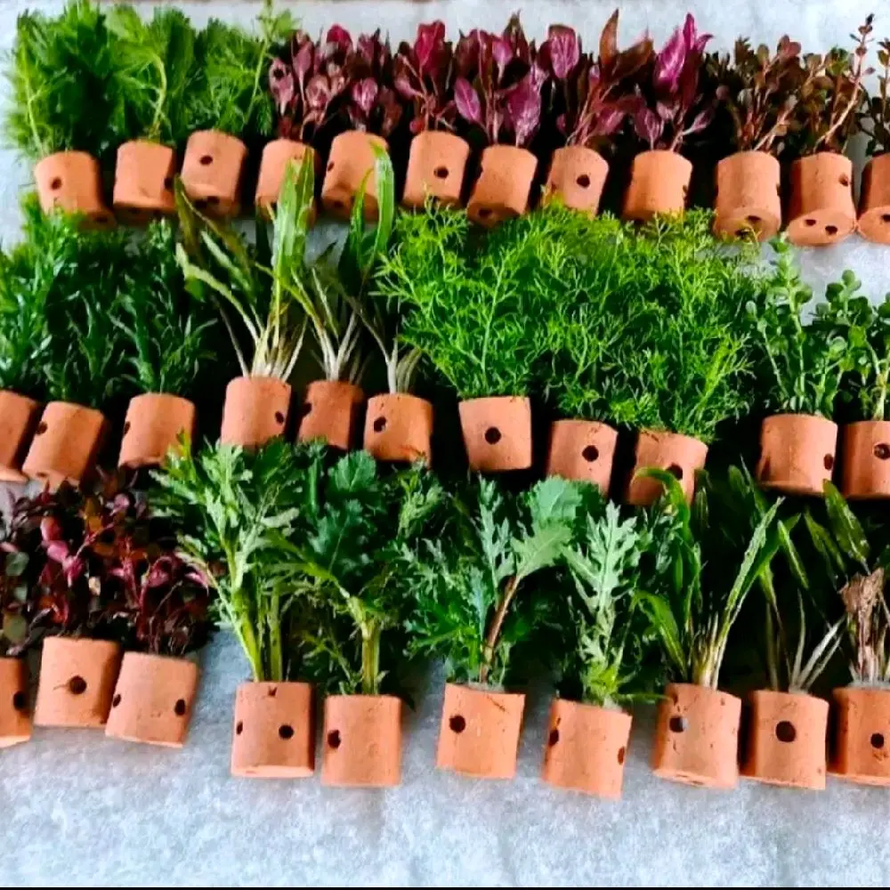 replika taneman mix campur per 10 pot hiasan akuarium dekorasi aquascape