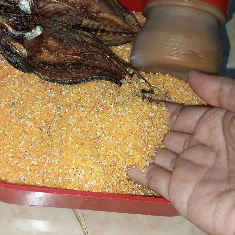 beras jagung ikan asin dan petis 0