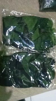 Product Review of Sarung Tangan Motor Pria Dewasa gloves Sarung Tangan Sepeda from A**s M**a 0