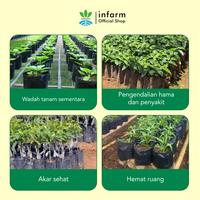 Gambar INFARM - Polybag Tanaman Paket 30 pcs - Ukuran 20x20 untuk Pot Tanaman Infarm Polibag Tanaman Polybag Ecer Berbagai Ukuran Warna Hitam Plastik Tebal Premium Persemaian Sayur Buah Bunga Hidroponik Rockwool Polybag Greenhouse Media Semai Tanaman dari Infarm Kota Surabaya 4 Tokopedia