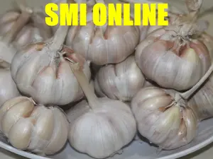 Bawang Putih Honan Bersih Tahan Lama Rempah Segar untuk Masakan Anda Garlic Cocok untuk Berbagai Resep Rempah-rempah