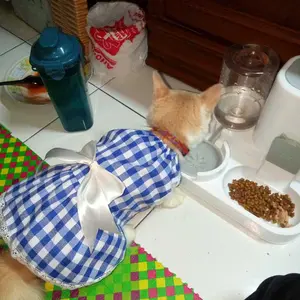 Baju Dress Kucing Anjing Kotak2 Pita