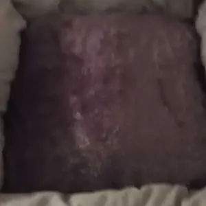 PETBED PREMIUM Kasur Kucing & Anjing | Tempat Tidur Hewan Peliharaan Kucing Anjing Premium | Empuk Nyaman Lembut Tahan Lama Awet