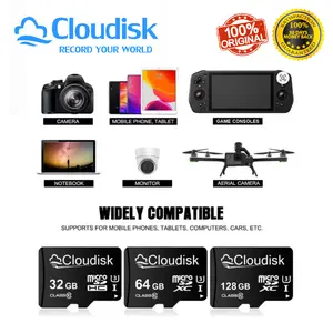 Cloudisk Flash Memory Card 4K Ready U3 V30 Micro SD Cards Class10 TF Card  (BNIB)