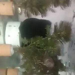 tanaman sintetis cabomba red media pot tanaman Aquascape hiasan aquarium