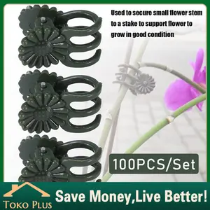 100Pcs Klip Penjepit Tangkai Bunga Anggrek Hijau Jepitan tanaman Pengikat Tangkai Anggrek Tanaman Hias Orchid Clip Support