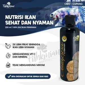 Ekstrak Ketapang Liquid Fishkinian