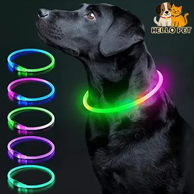 Luminous Dog Collar Light Charge Cat Necklace, Led Fashion Flashing DIY Glowing Safety Collar for Dogs Nighttime Pet Accessorie