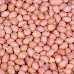 Kacang Tanah merah segar gede 1 kg