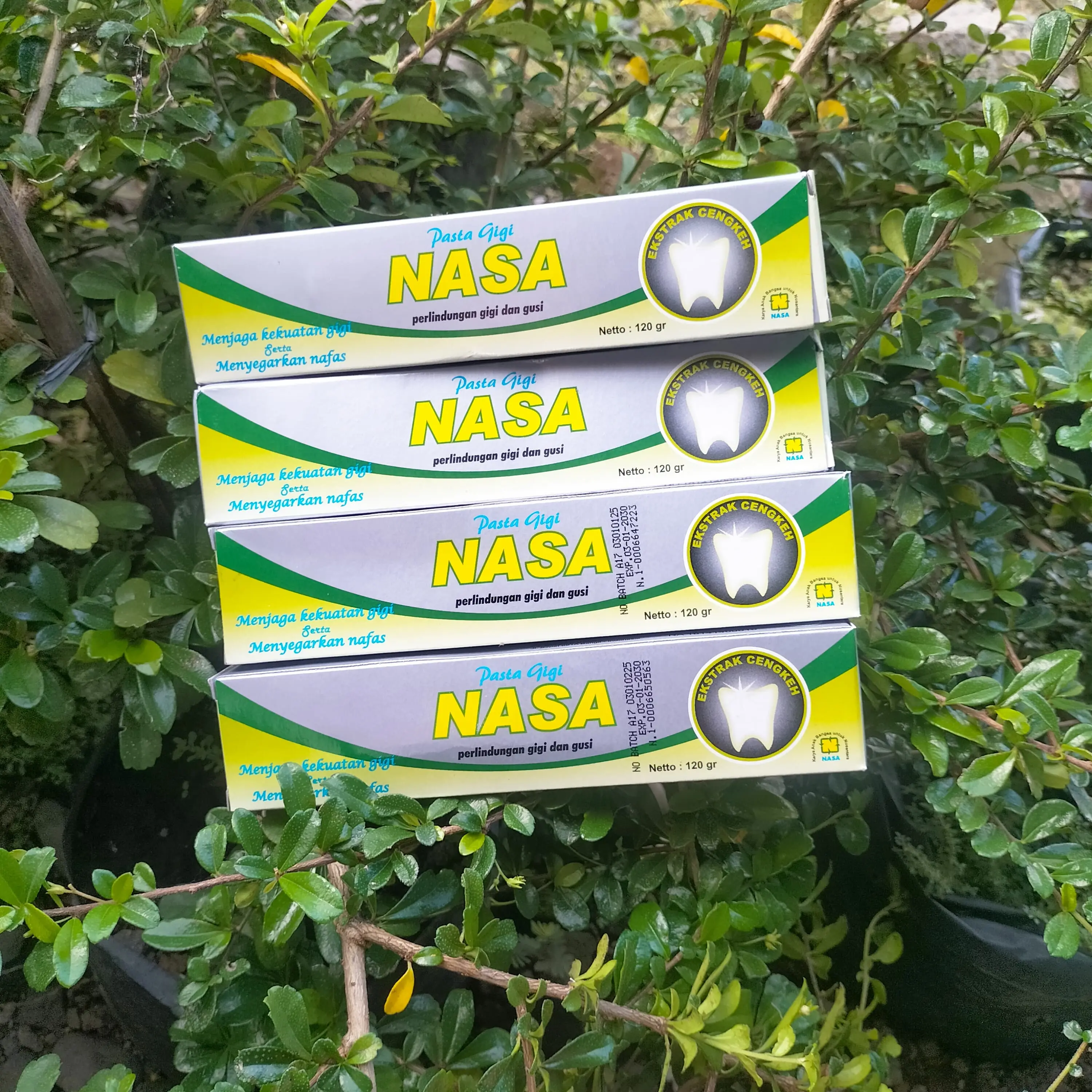 DAPAT 4 PCS Pasta Gigi Nasa (PGN) Ampuh Atasi Permasalahan Mulut 100%ORIGINAL/menghilangkan bau mulut/KOSMETIKORI