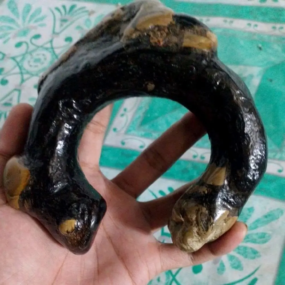 gelang akar bahar hitam bulat jumbo