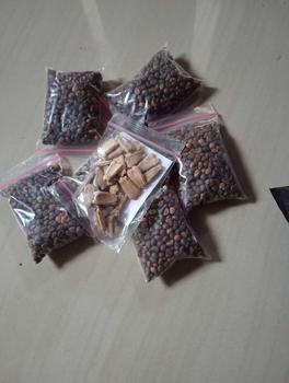 Product Review of 30 seed benih labu air from M**h A** 0