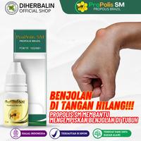 Gambar ProPolis SM Obat Kista Ganglion Benjolan Di Tangan dari Diherbalin Shop Kota Administrasi Jakarta Barat 1 Tokopedia