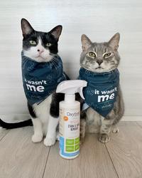 Gambar Oxyfresh Pet Stain & Odor Remover 473mL - Penghilang Noda dan Bau Hewan Peliharaan Aman untuk Semua Permukaan dari Oxyfresh Pet Kota Tangerang Selatan 3 Tokopedia