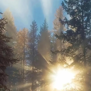 Shop Hải Đăng 86