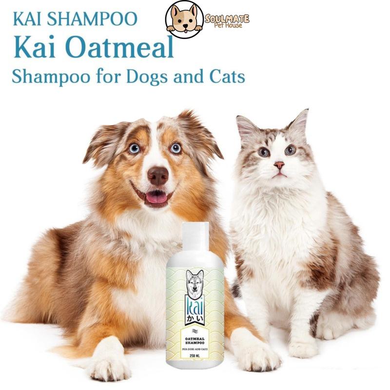 Product Introduction of (SALE+ QUÀ) Sữa tắm yến mạch+xịt dưỡng cao cấp KAI cho chó mèo 250ml- Thái Lan 31
