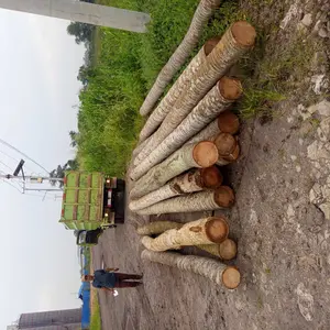 Castiel Jaring Pagar Ayam 2 x 50 Meter Tali Sudah Terpasang Siap Pakai Termurah Best Seller