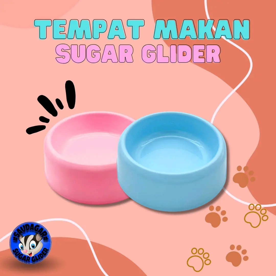 Tempat Makan Sugar Glider Anti Pecah Berkualitas