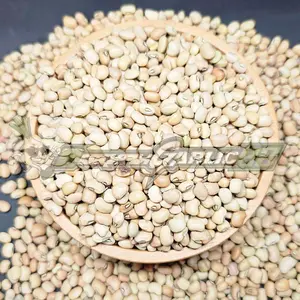 Kacang Tolo Import Super 1kg / 500gr | Kacang Tunggak Premium Biji Besar Bersih | Kualitas Tinggi