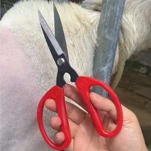 Gunting Cukur Manual Domba - Cocok untuk Cukur Bulu Domba