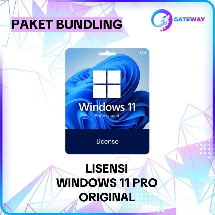 +WIN 11 PRO