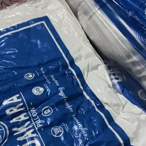 [Exclusive IschaIndyOfc] [PO DIKIRIM 15 HARI] 2 BANTAL 2 GULING / 4 BANTAL TERMURAH SILICONE 100%