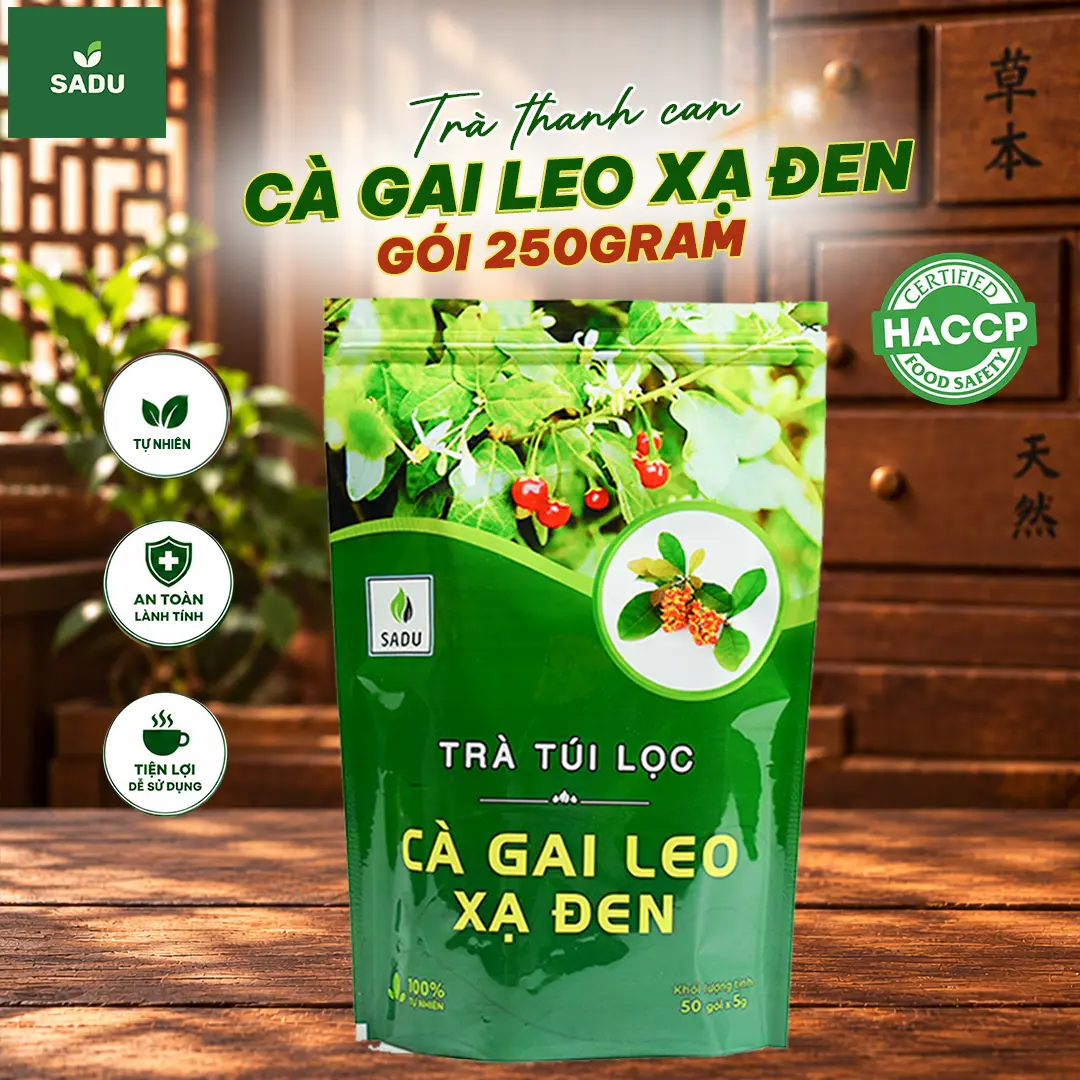 Trà Thanh Can Túi Lọc Cà Gai Leo Xạ Đen Sadu - Thảo Dược Tự Nhiên,Túi Lọc Tiện Lợi,An Toàn