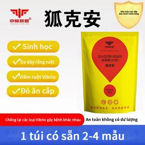 Vi khuẩn gây chết vì Vi Rút Vibrio, Đặc Biệt Cho Nuôi Cạn, Cải Thiện Nhanh Chóng Cá, Tôm Và Tôm, Vi Rút Vibrio Màu Vàng-Xanh Lá Cây, Cung Cấp Sự Bảo Vệ Và Kiểm Soát Dịch Hại
