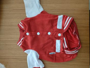 Product Review of baju kucing lucu aksesoris hewan peliharaan - BUKIPET BASIC VARSITY from D**a D**e 3