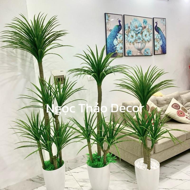 Cây phát tài núi cao su cây giả trang trí cây giả decor