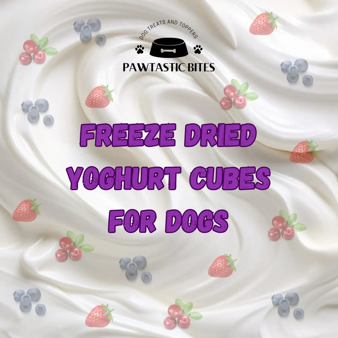 Pawtastic Bites Freeze dried yogurt cubes. Introducing Freeze-Dried Yogurt Cubes for your furkids – the ultimate canine treat that blends nutrition with deliciousness!