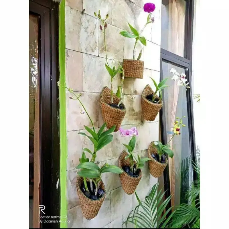 Pot anggrek tempel dinding serabut kelapa Bunga Pvc 1