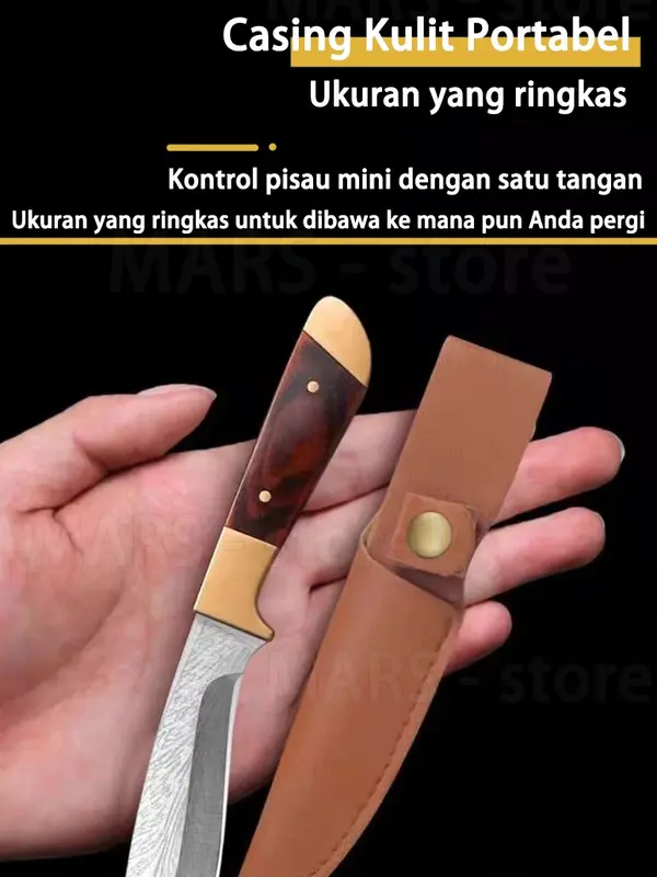 Pisau buah Pisau dapur dengan  sarungnya 3