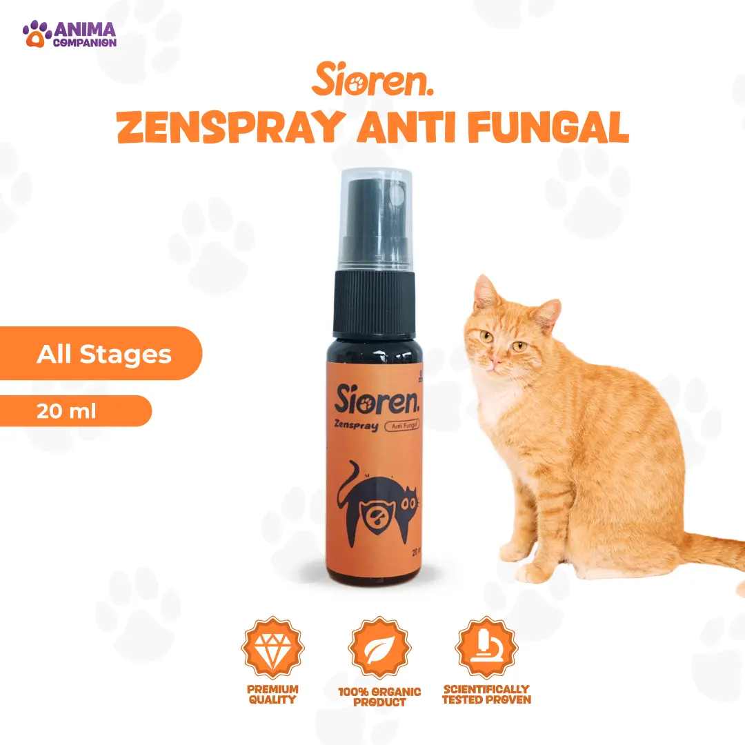 Sioren - Anti fungal, Obat jamur anti fungal dan scabies, Antiseptik, Alami & Cepat Sembuh