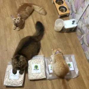 Freeze Dried Chicken Cubes & Egg Yolk 500gram Kemasan Ekonomis - Snack Cemilan Sehat dan Lezat Untuk Anabul - Snack Dada Ayam dan Kuning Telur Kering Dadu Cemilan Anjing Kucing Hamster Sugar Glider - Makanan Hewan Peliharaan - Snack for Pet Cat Dog