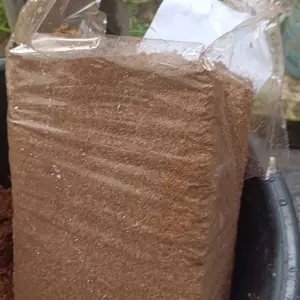 Asia Tani Cocopeat Block 1 Kg Berkualitas Export Pupuk Tanaman
