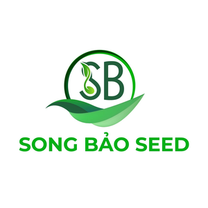 Hạt Giống An Giang