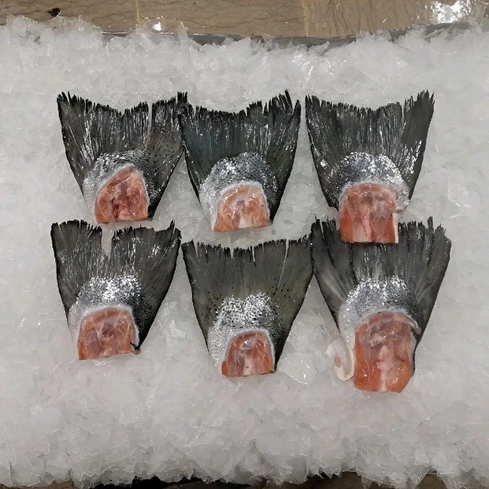 (Order Via Tokped) Ekor Salmon 1 Kg / Seafood 22