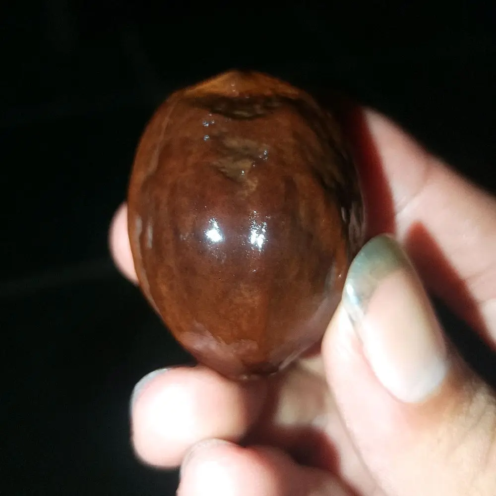 Muncang Adu jawa Asli Garut - Kualitas Terbaik - Merah