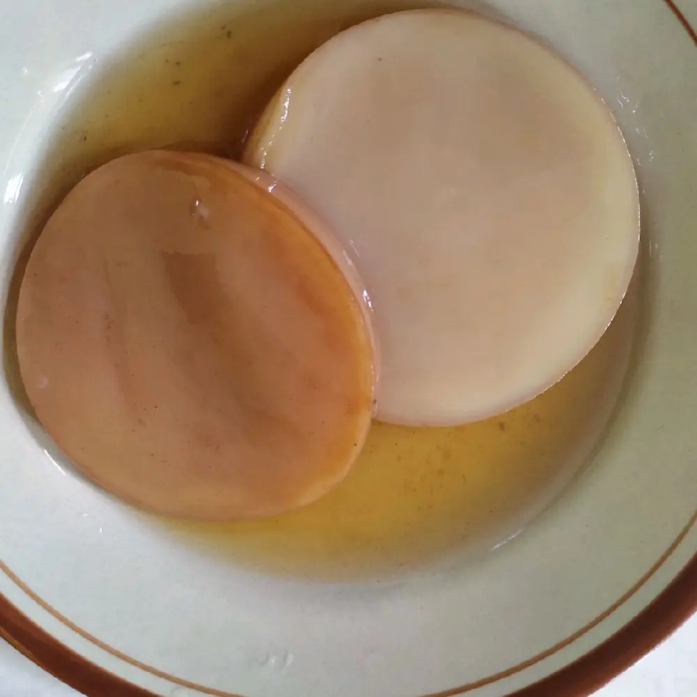 bibit kombucha dikirim tanpa air