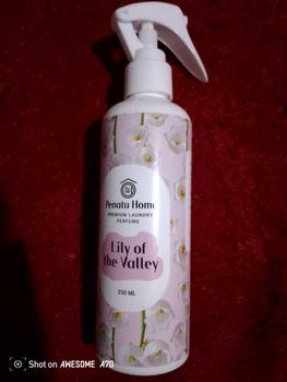 Product Review of Parfum Laundry Premium Penatu Home - Lily Of The Valey 250ML from u**7 0